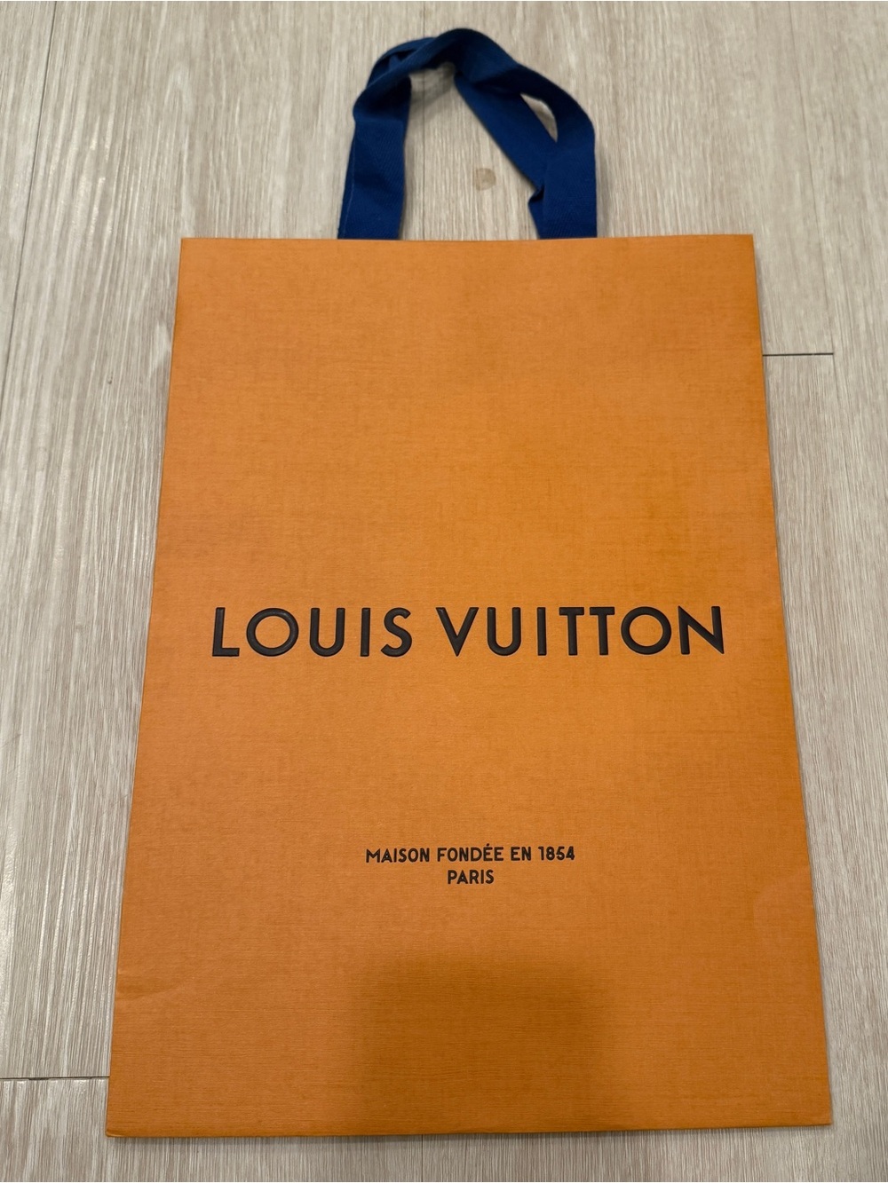 Louis Vuitton Shopping Bag
